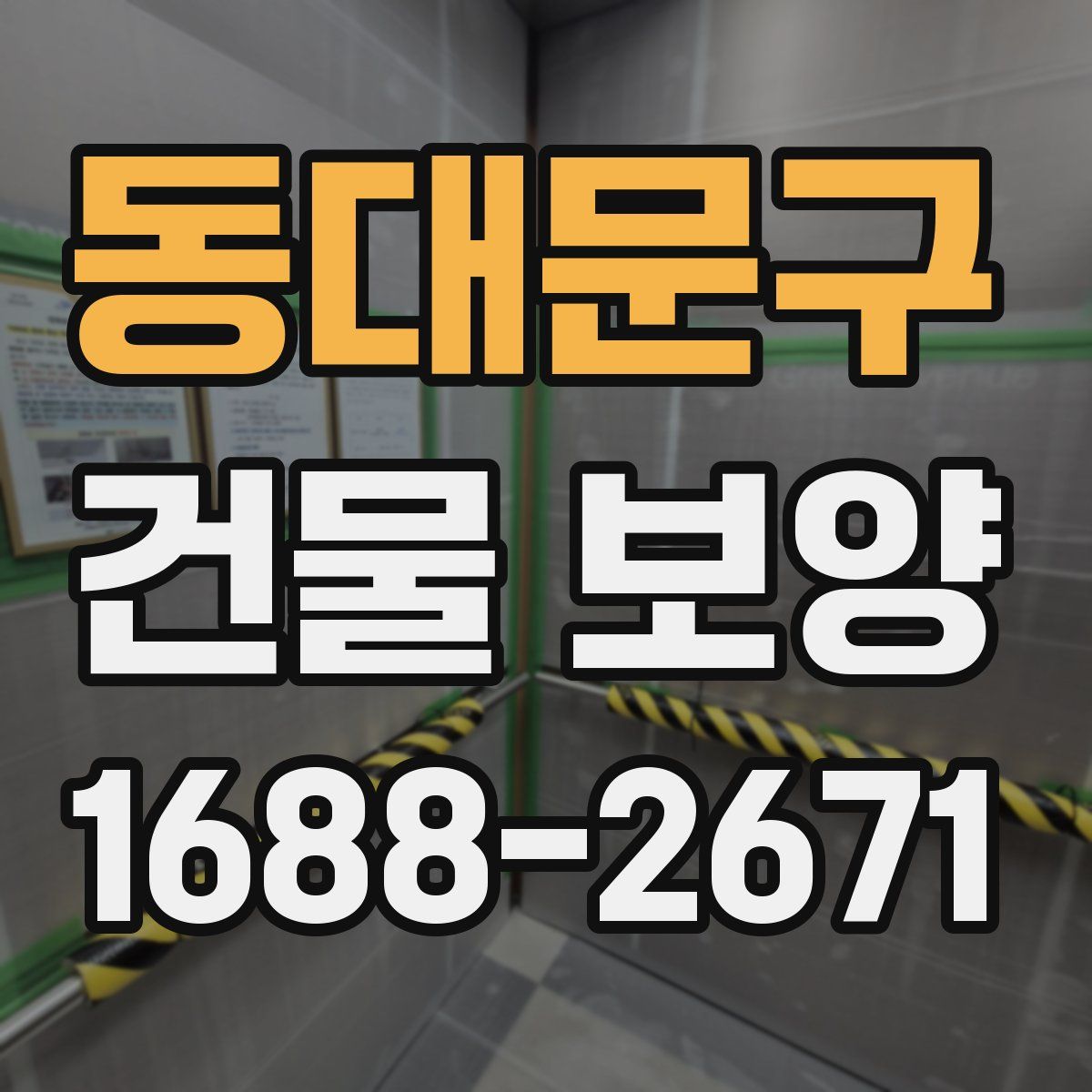동대문구 건물 보양