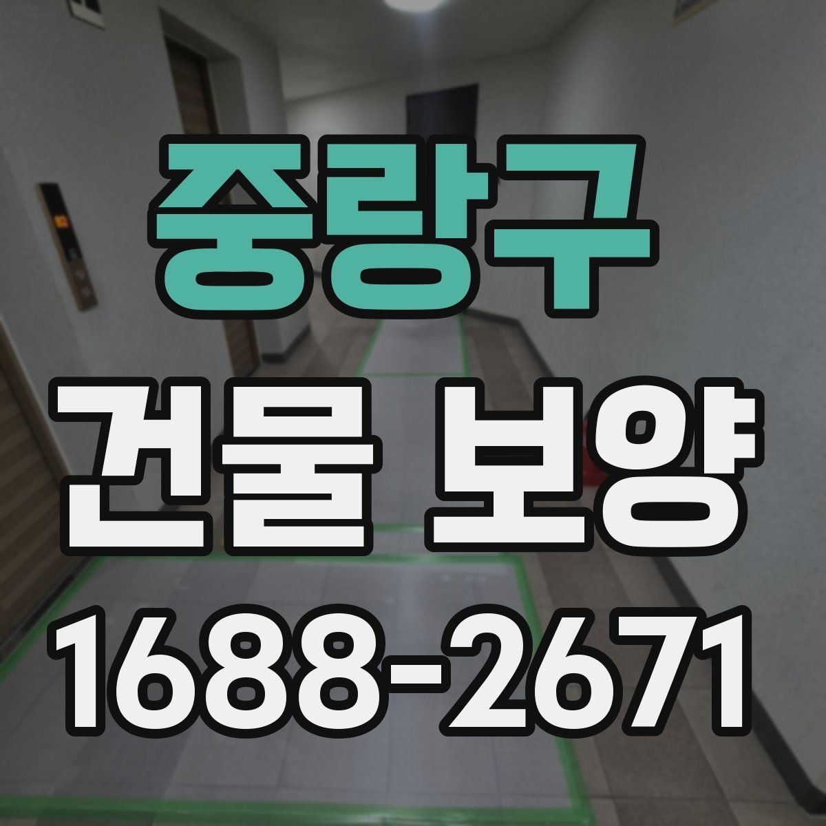 중랑구 건물 보양 현장에서 쓰이는 주요 자재