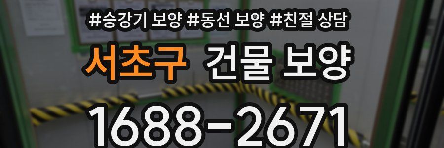 서초구 건물 보양