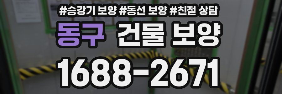 동구 건물 보양