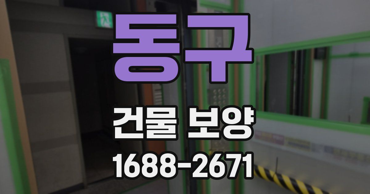동구 건물 보양
