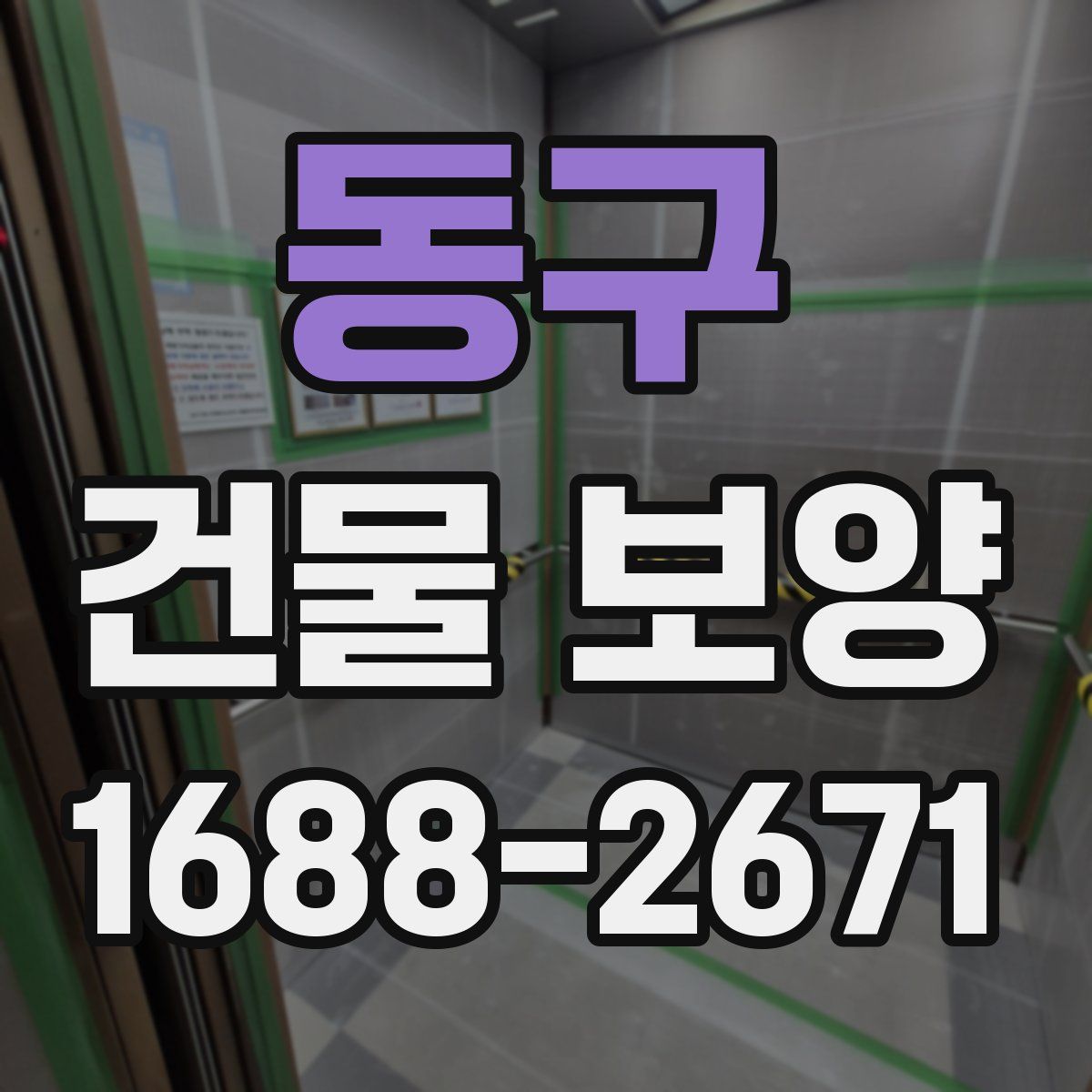 동구 건물 보양