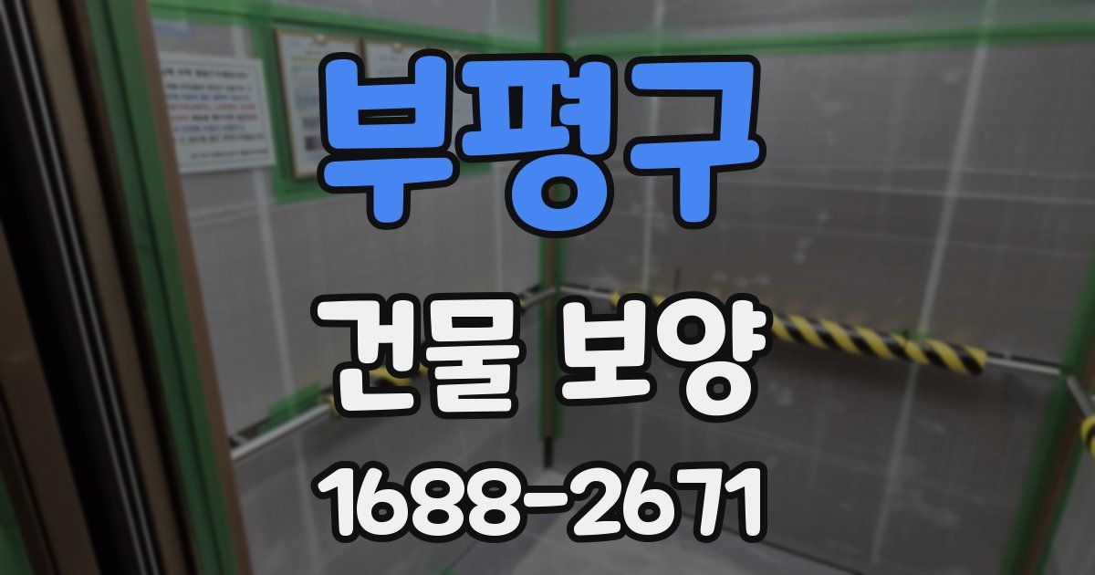 부평구 건물 보양
