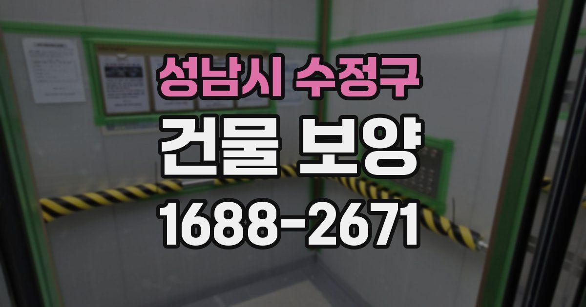 성남시 수정구 건물 보양