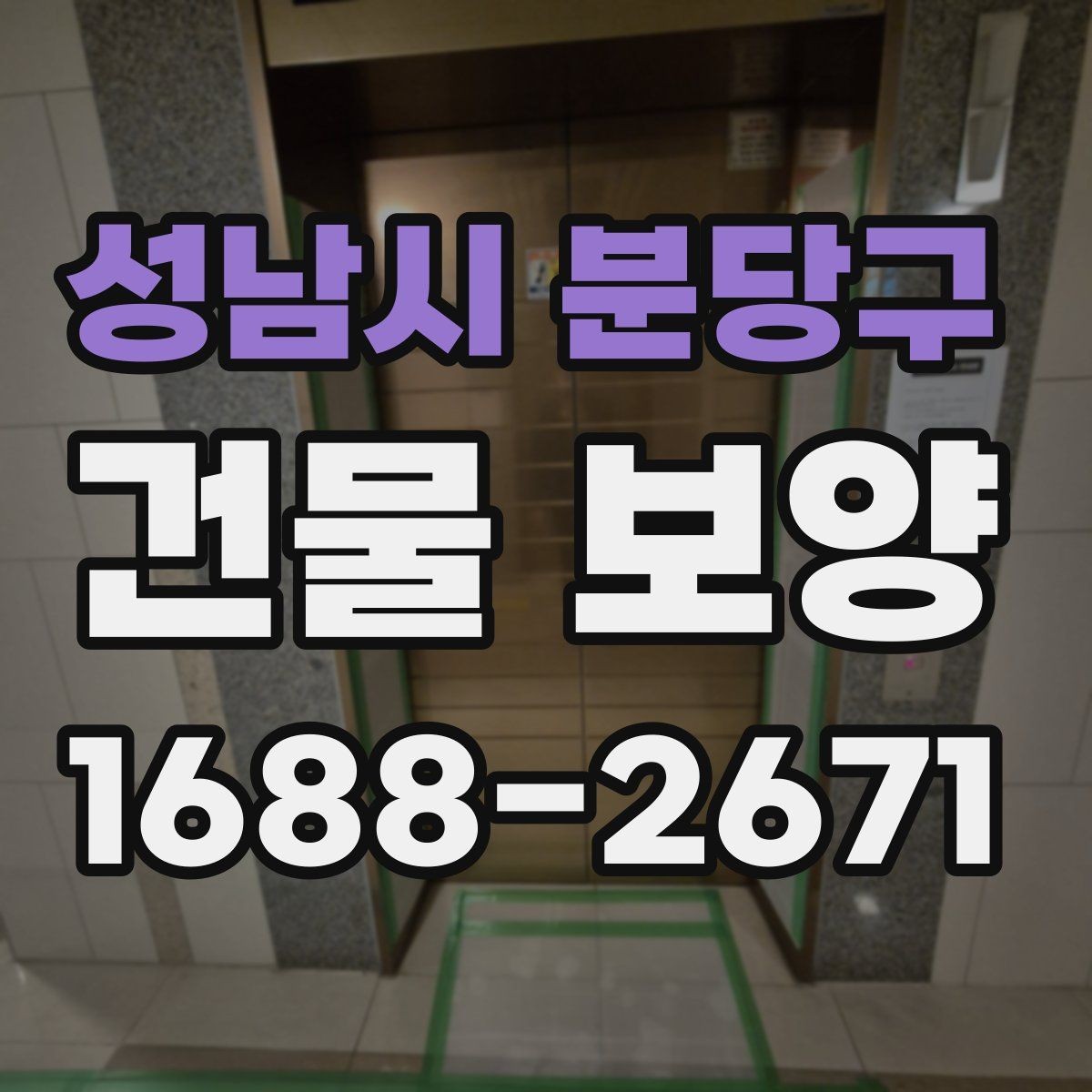 성남시 분당구 건물 보양 관련 문의가 많은 이유 정리
