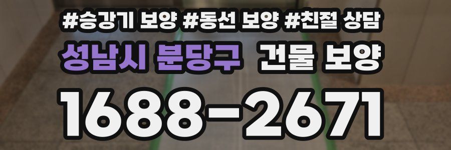 성남시 분당구 건물 보양