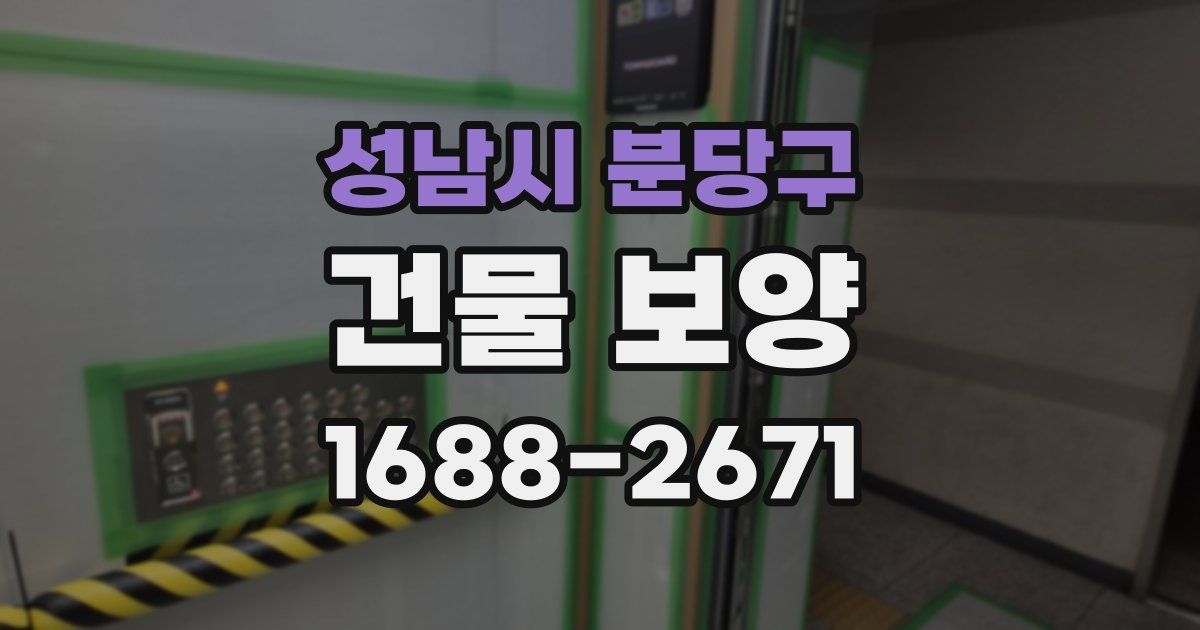 성남시 분당구 건물 보양