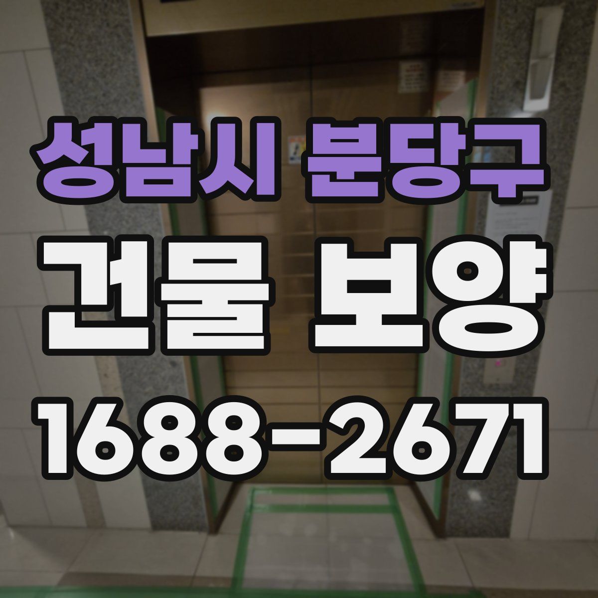 성남시 분당구 건물 보양