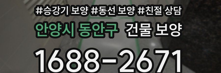 안양시 동안구 건물 보양