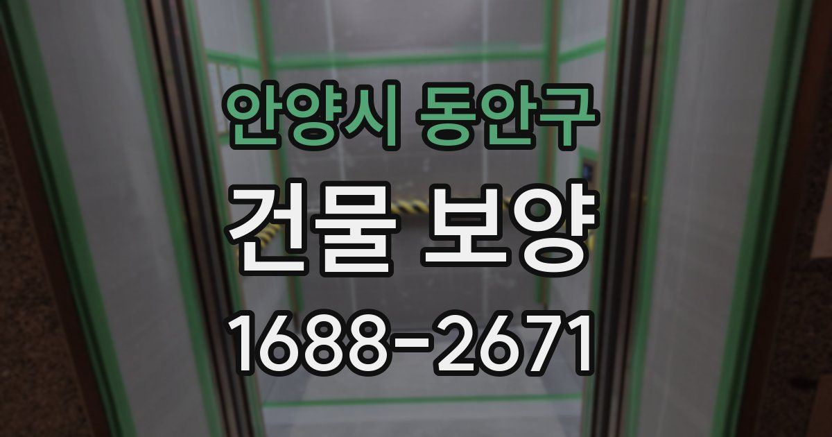 안양시 동안구 건물 보양