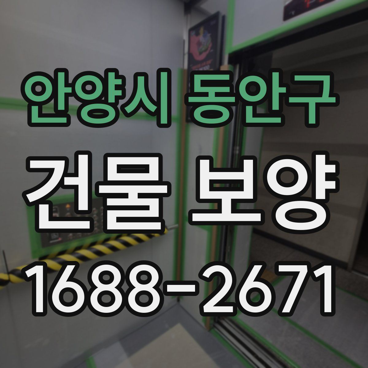 안양시 동안구 건물 보양