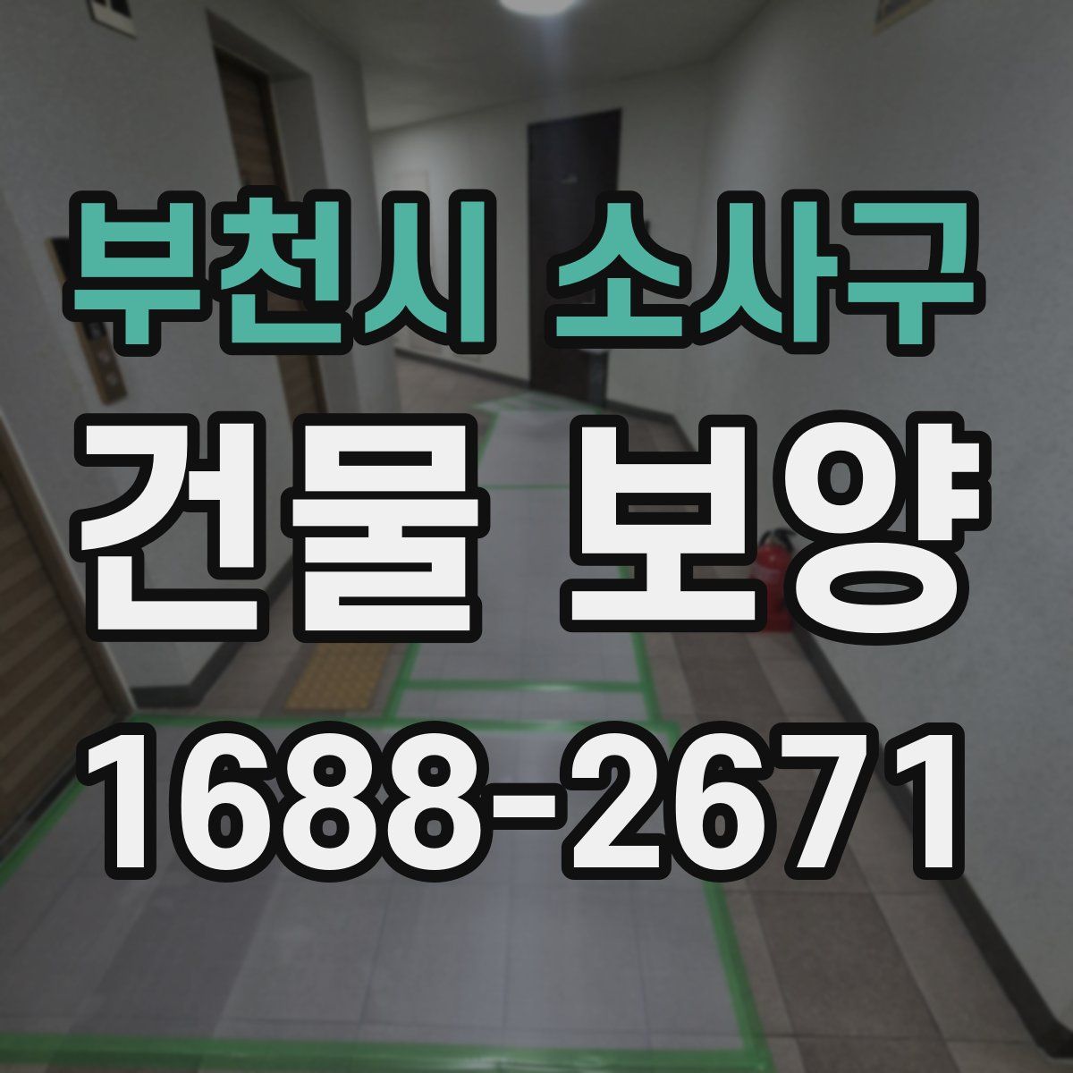 부천시 소사구 건물 보양