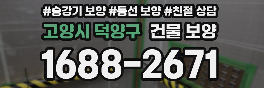 고양시 덕양구 건물 보양