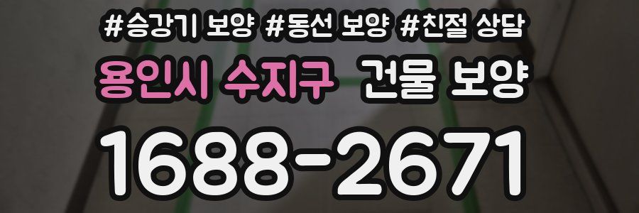 용인시 수지구 건물 보양