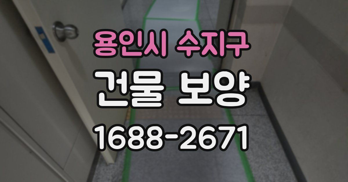 용인시 수지구 건물 보양