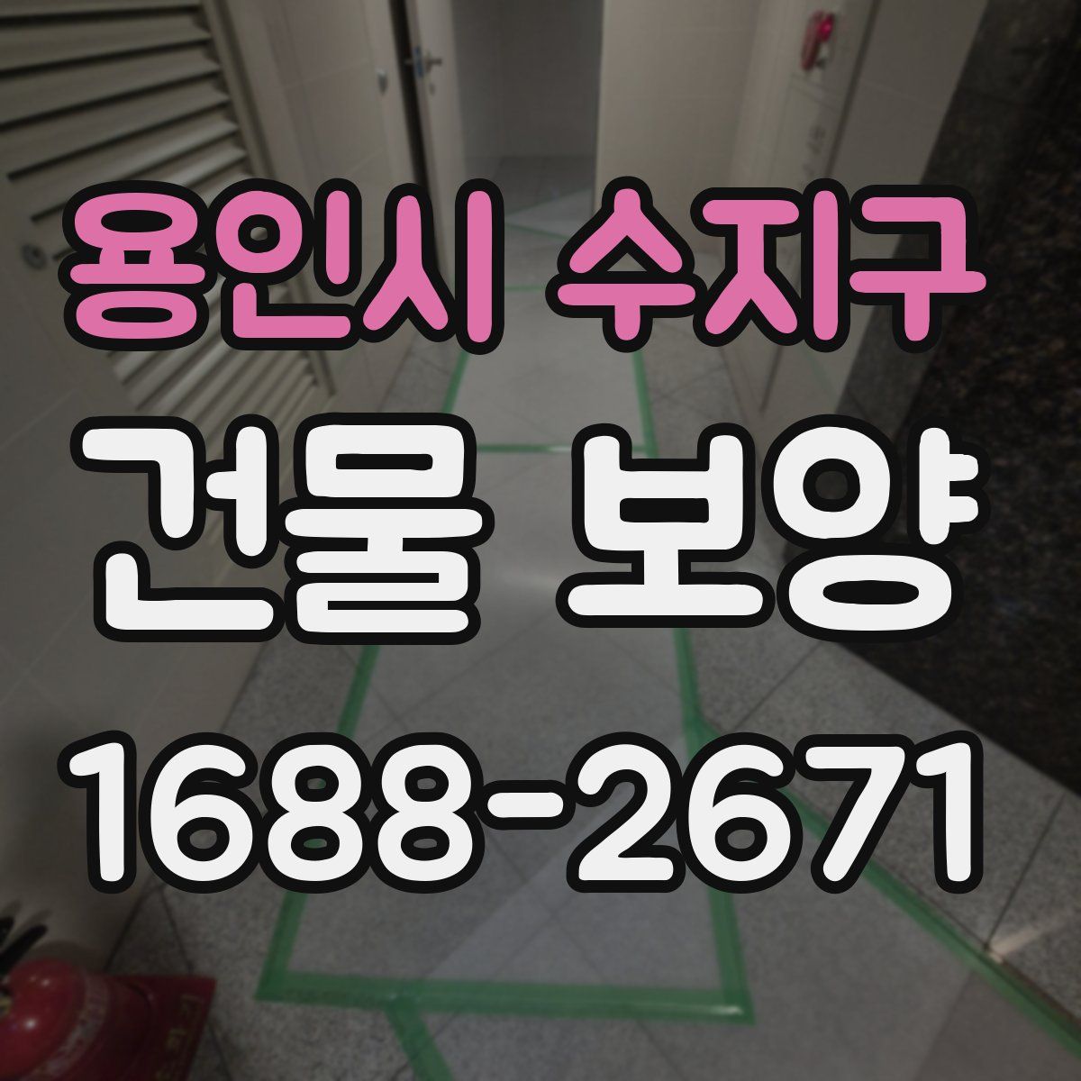 용인시 수지구 건물 보양