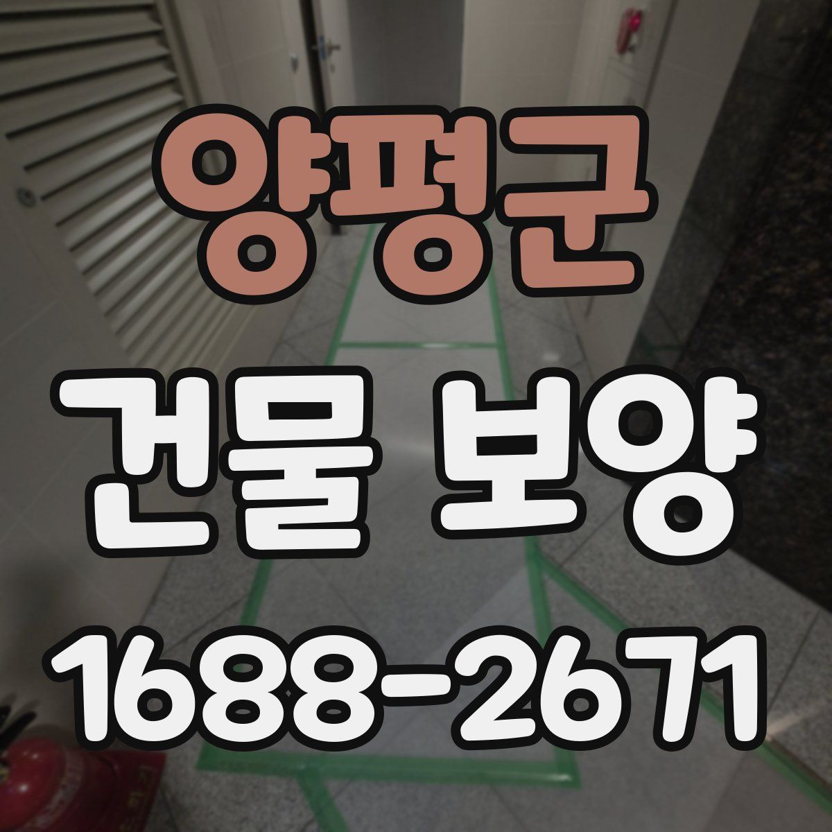 양평군 건물 보양