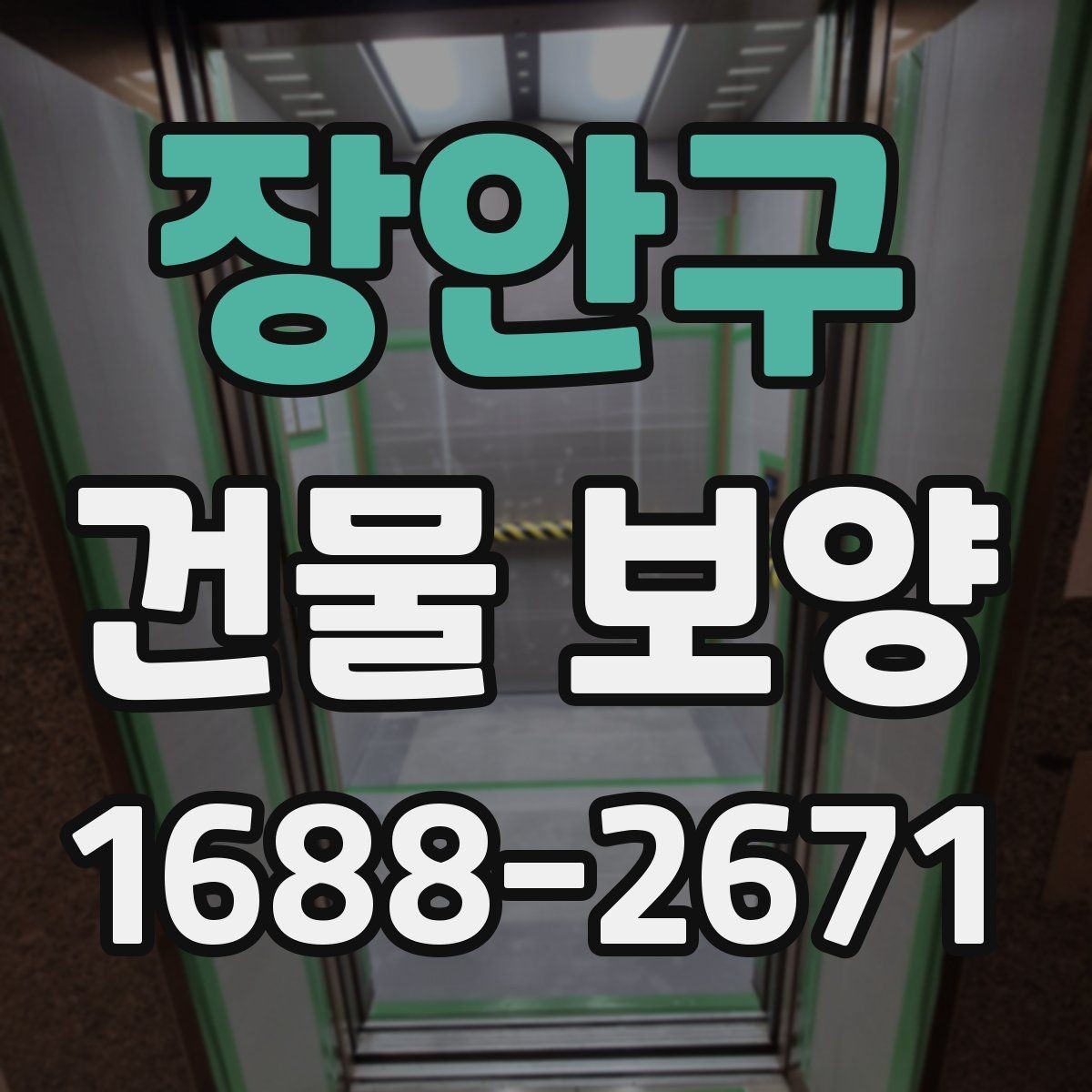 장안구 건물 보양 비용과 품질을 함께 보는 법