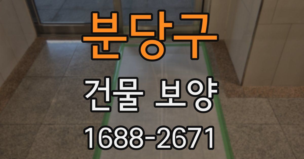 분당구 건물 보양
