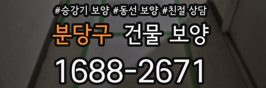 분당구 건물 보양