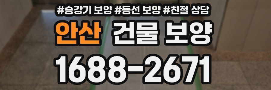 안산 건물 보양