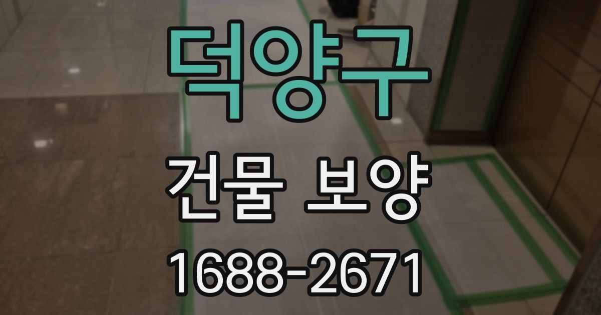 덕양구 건물 보양
