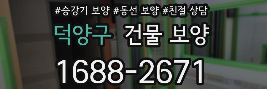 덕양구 건물 보양