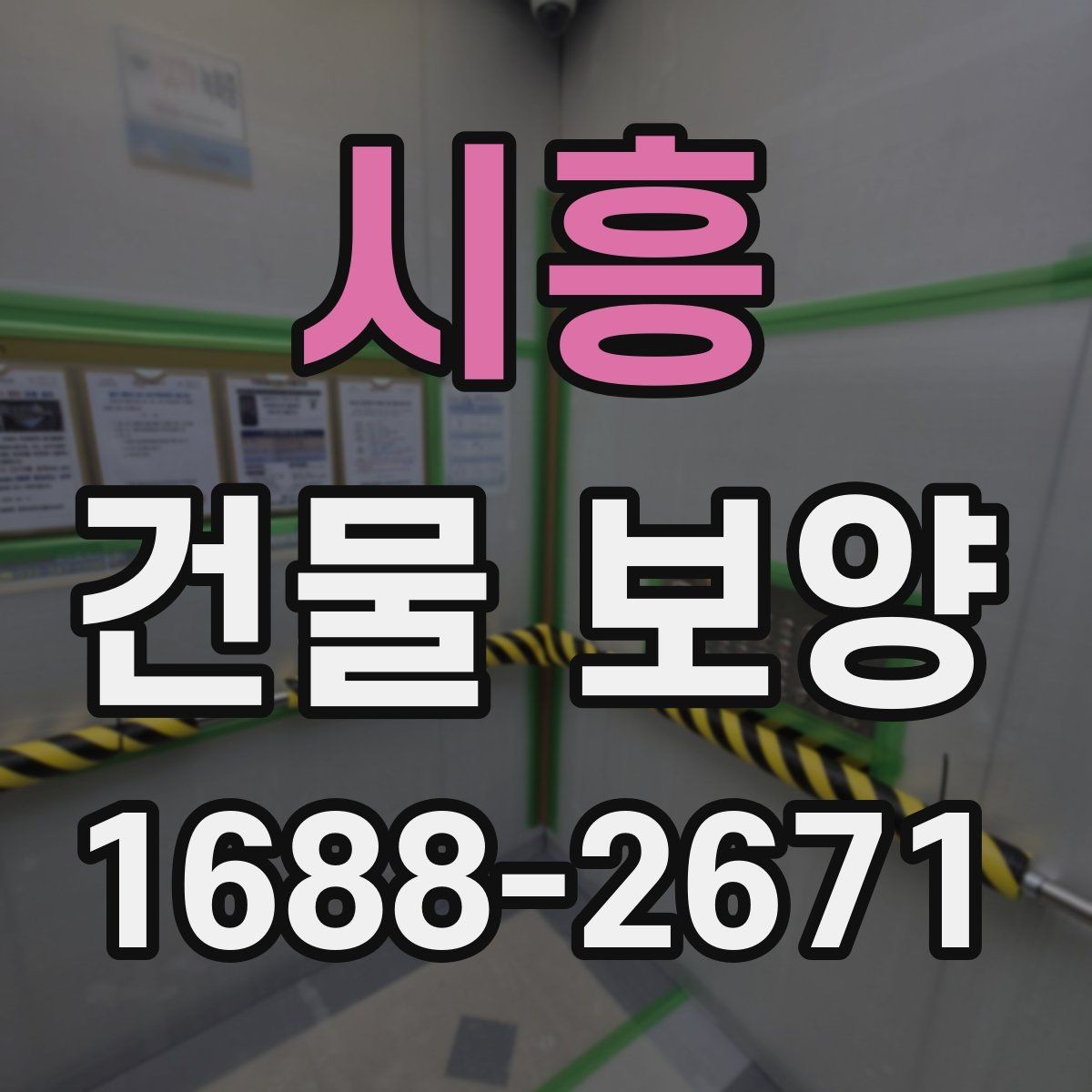 시흥 건물 보양 선택 시 고려할 실무 기준