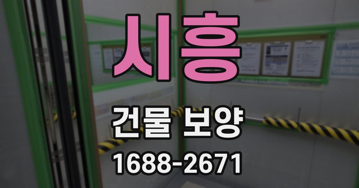 시흥 건물 보양