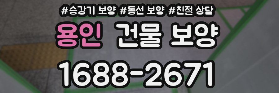 용인 건물 보양