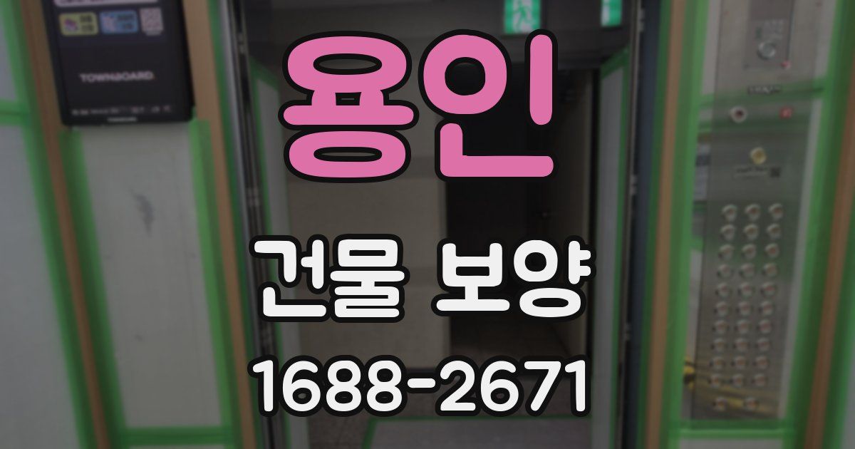 용인 건물 보양