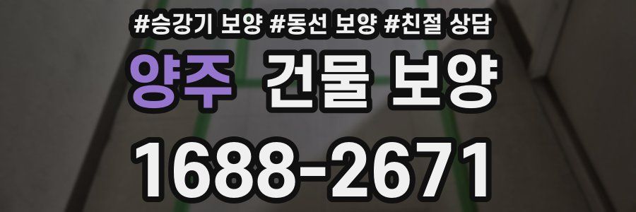 양주 건물 보양