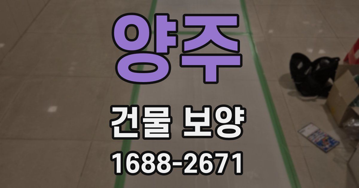 양주 건물 보양