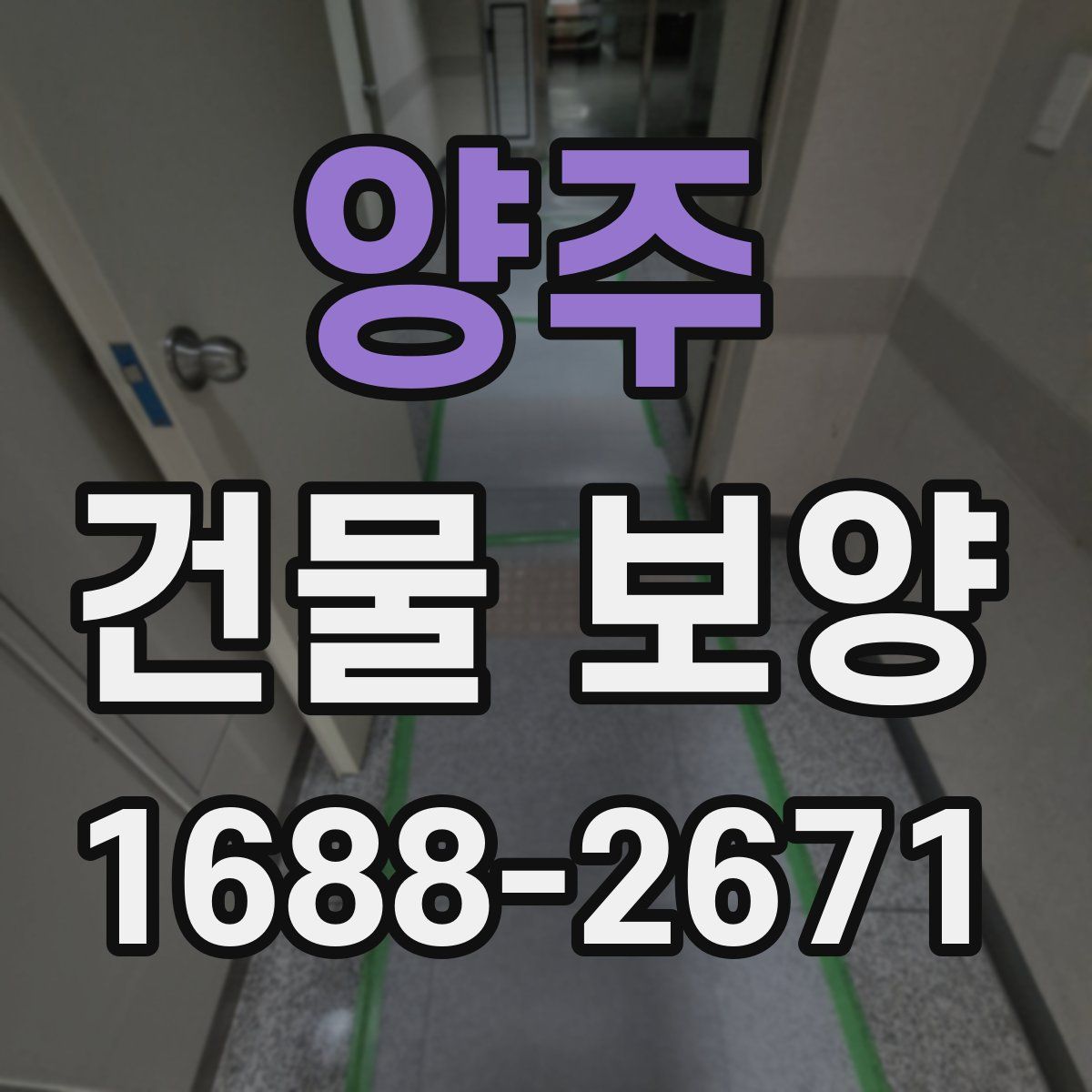 양주 건물 보양
