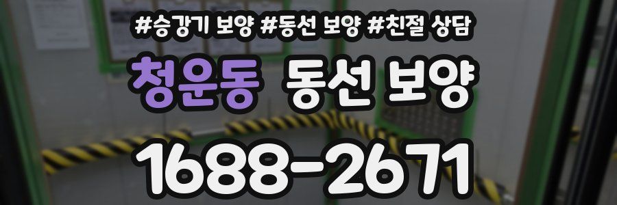 청운동 동선 보양