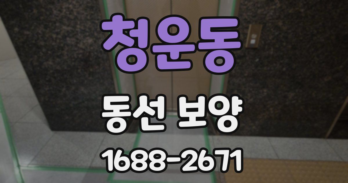 청운동 동선 보양