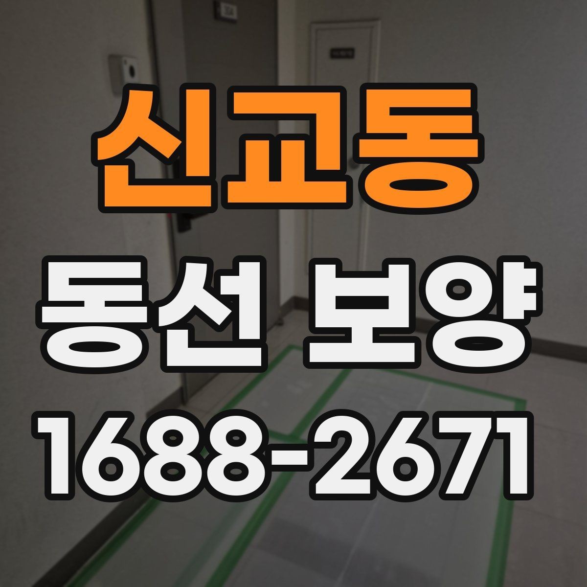 신교동 동선 보양 과정에서 생길 수 있는 문제와 대응
