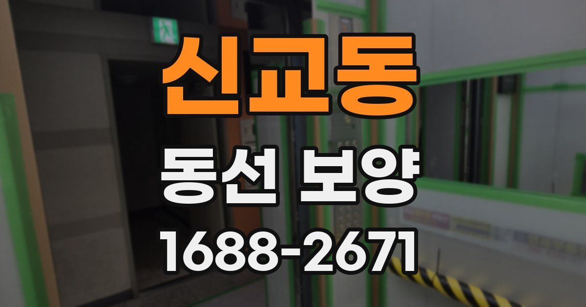 신교동 동선 보양