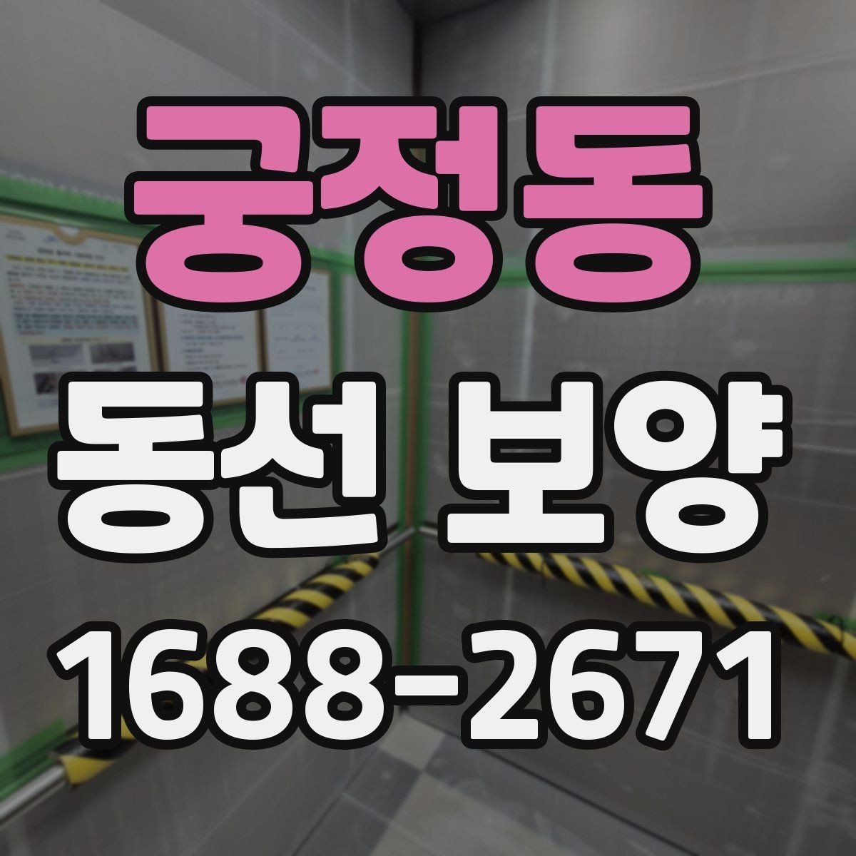 궁정동 동선 보양 현장에 맞춘 보호 대책 세우기