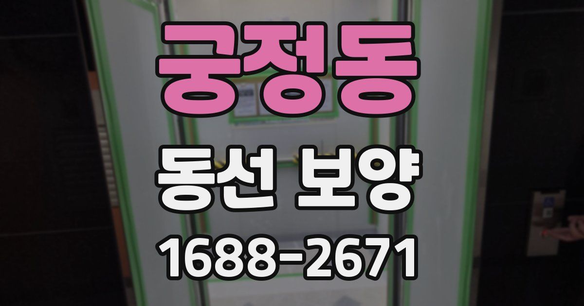 궁정동 동선 보양
