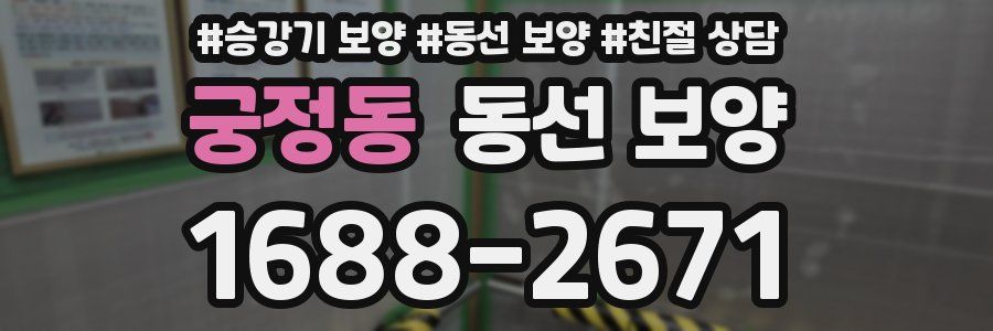 궁정동 동선 보양