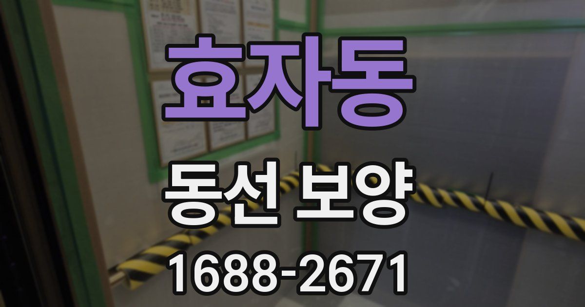 효자동 동선 보양