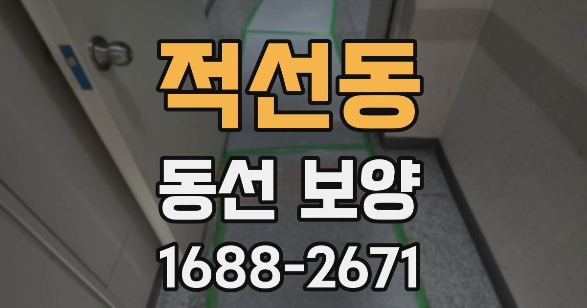 적선동 동선 보양