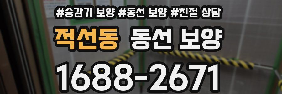 적선동 동선 보양