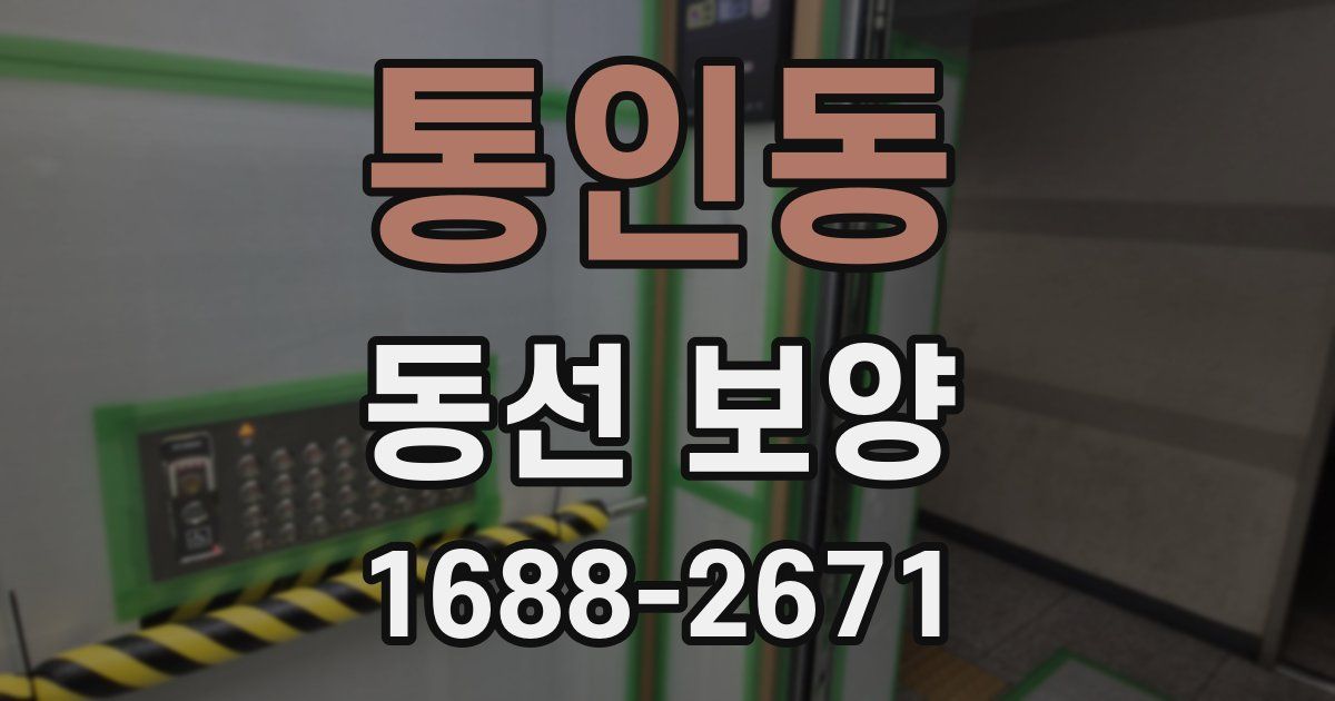 통인동 동선 보양