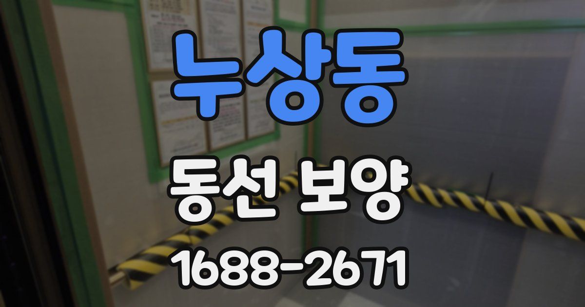 누상동 동선 보양