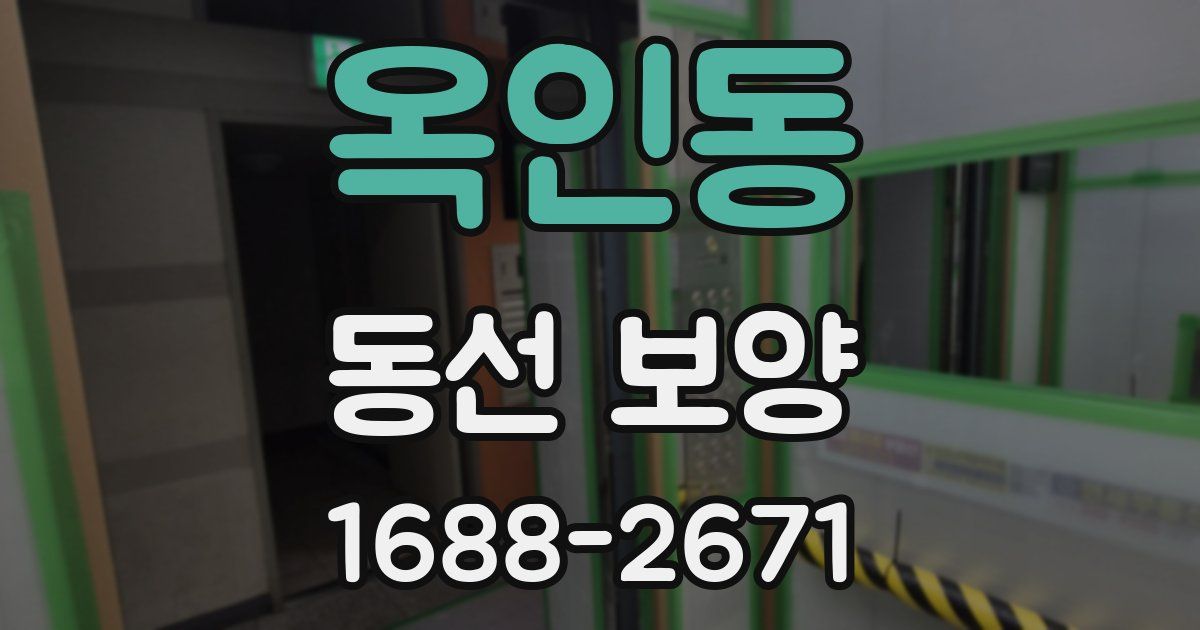 옥인동 동선 보양