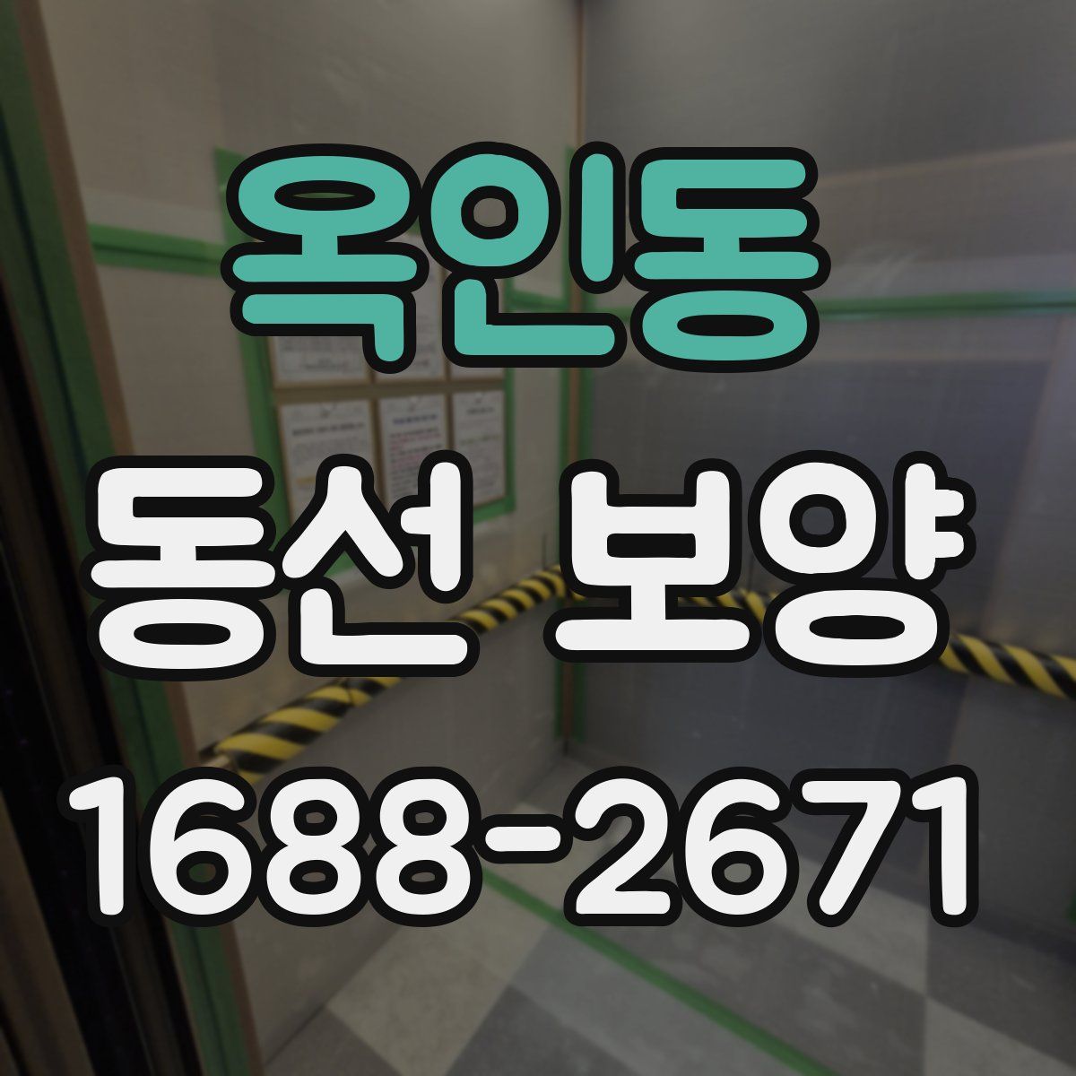 옥인동 동선 보양