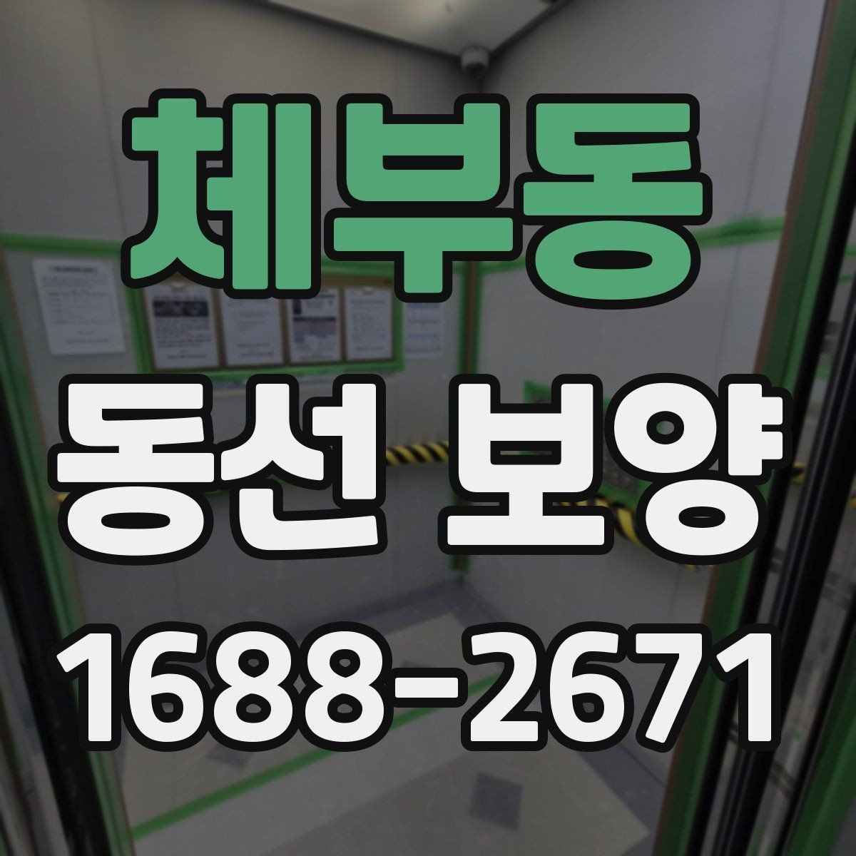 체부동 동선 보양 관련 문의 전 준비하면 좋은 정보