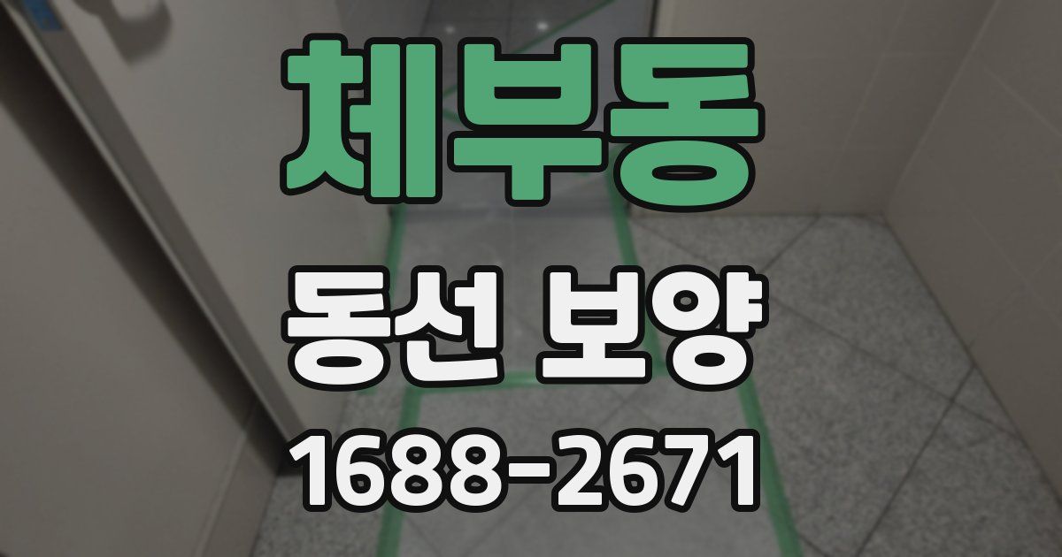 체부동 동선 보양
